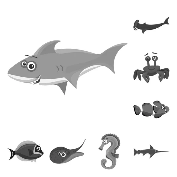 Diseño vectorial del icono del mar y los animales. Colección de mar y vector marino icono para stock . — Archivo Imágenes Vectoriales