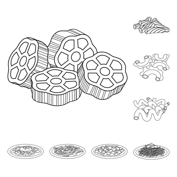 Векторный дизайн макарон и углеводов. Коллекция макаронных изделий и векторных иллюстраций . — стоковый вектор