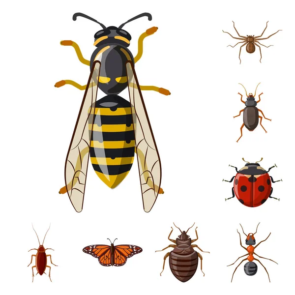 Design vettoriale del simbolo di insetti e mosche. Serie di illustrazioni vettoriali di insetti ed elementi . — Vettoriale Stock