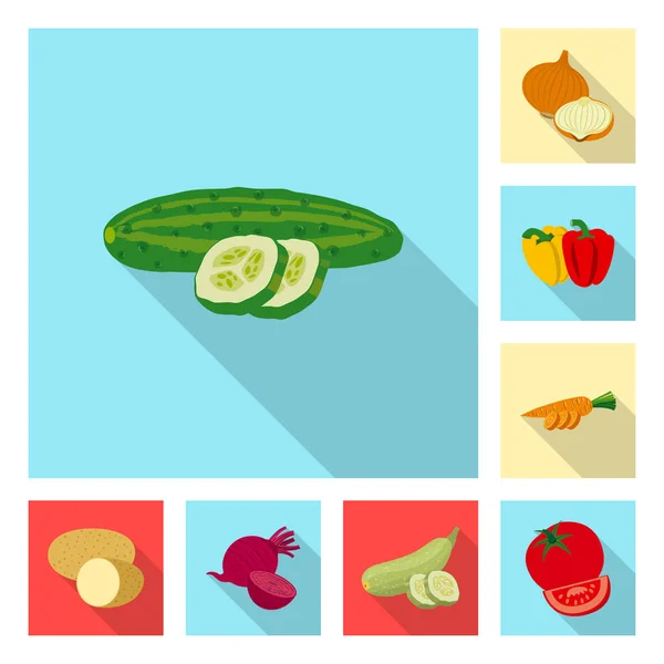 Diseño vectorial del logotipo de verduras y frutas. Colección de icono de vector vegetal y vegetariano para stock . — Vector de stock