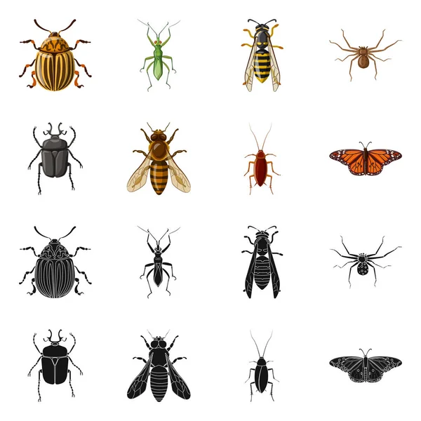 Векторная иллюстрация символа насекомого и мухи. Коллекция векторных иллюстраций насекомых и элементов . — стоковый вектор