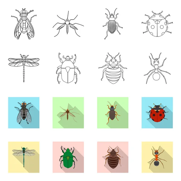 Illustrazione vettoriale del segno di insetti e mosche. Raccolta di icone vettoriali di insetti ed elementi per stock . — Vettoriale Stock