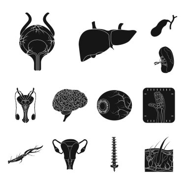 Vücut ve insan işareti yalıtılmış nesne. Vücut ve tıbbi hisse senedi vektör çizim koleksiyonu.