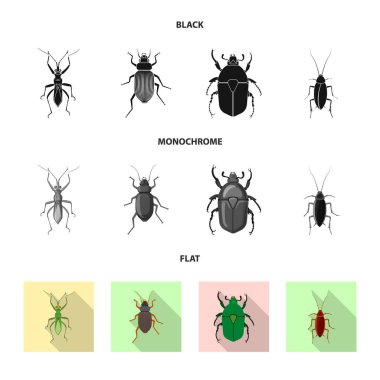 Böcek ve sinek işareti yalıtılmış nesne. Böcek ve öğe hisse senedi vektör çizim seti.