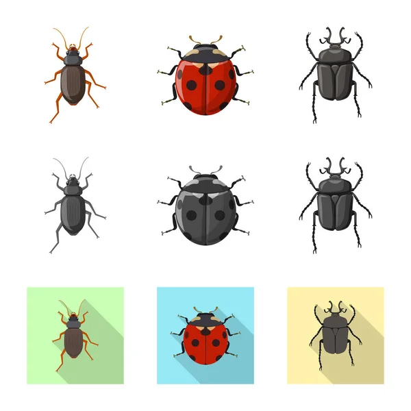 Geïsoleerde object van insecten en vliegen pictogram. Collectie van insect en element aandelensymbool voor web. — Stockvector