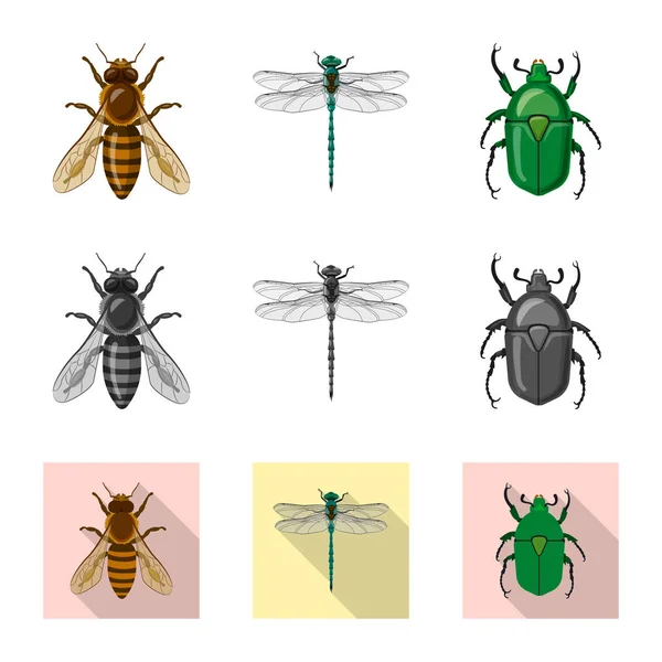 Isolated object of insect and fly symbol. Set of insect and element vector icon for stock. — Stock Vector