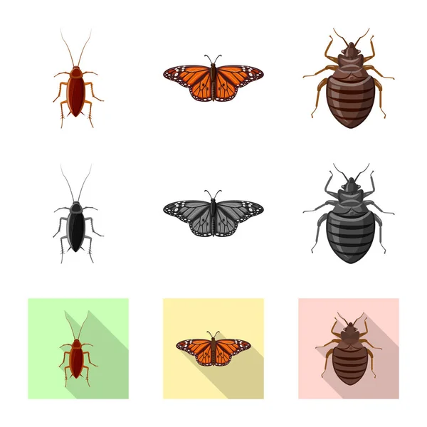 Geïsoleerde object van insecten en vliegen symbool. Collectie van insect en element aandelensymbool voor web. — Stockvector