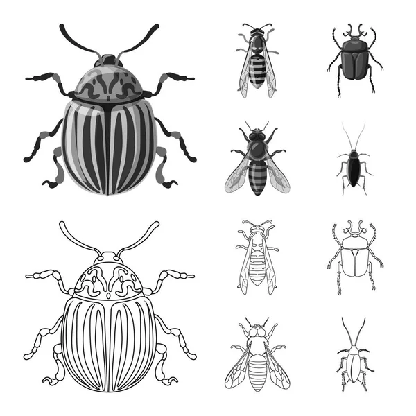 Isoliertes Insekten- und Fliegensymbol. Sammlung von Insekten- und Elementvektorsymbolen für Aktien. — Stockvektor