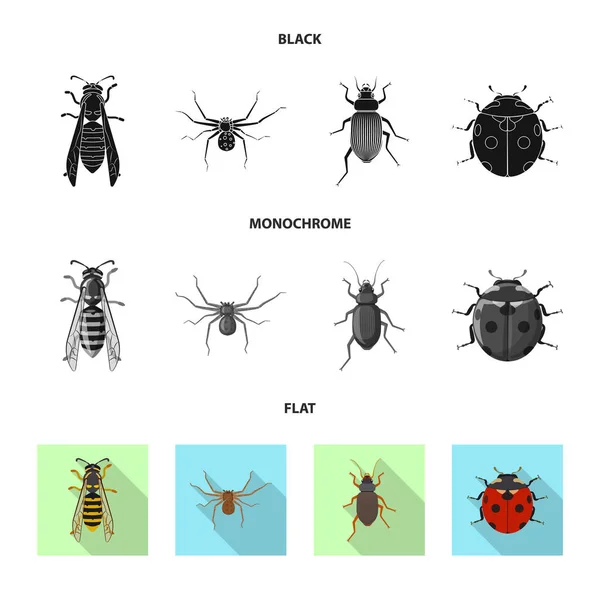 곤충 및 비행 상징의 고립 된 개체입니다. 웹에 대 한 곤충과 요소 주식 기호 모음. — 스톡 벡터