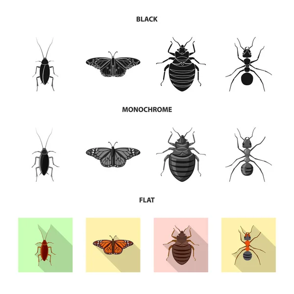 곤충과 비행 로그인의 고립 된 개체입니다. 곤충 및 요소 주식 벡터 일러스트 레이 션의 컬렉션. — 스톡 벡터
