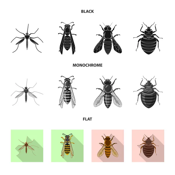 Ilustración vectorial del logotipo de insectos y moscas. Colección de insectos y vector de stock de elementos ilustración . — Vector de stock