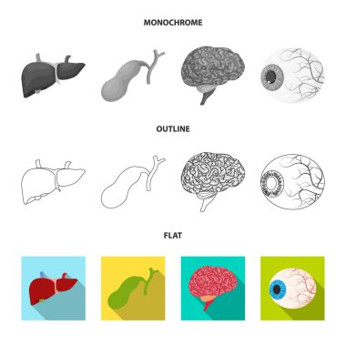 Vücut ve insan işareti vektör tasarımı. Vücut ve web için tıbbi hisse senedi simgesi toplama.