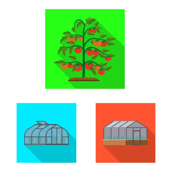 Progetto vettoriale di serra e simbolo vegetale. Raccolta di illustrazioni vettoriali su serra e giardino . — Vettoriale Stock