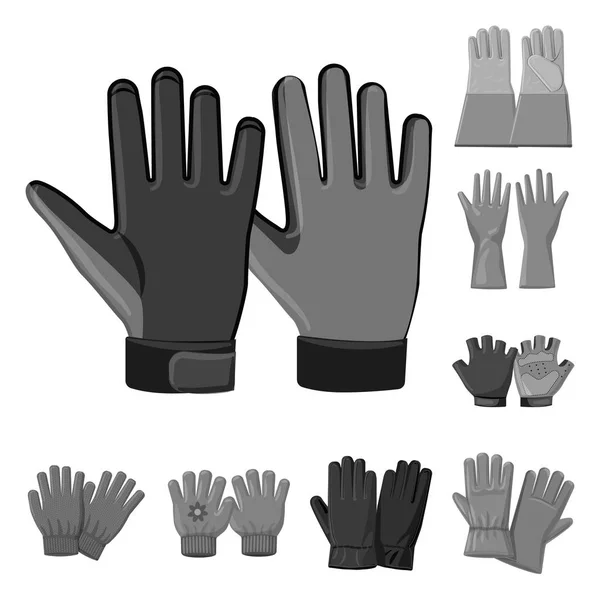 Objet isolé de gant et logo d'hiver. Collection d'icône vectorielle de gant et d'équipement pour stock . — Image vectorielle