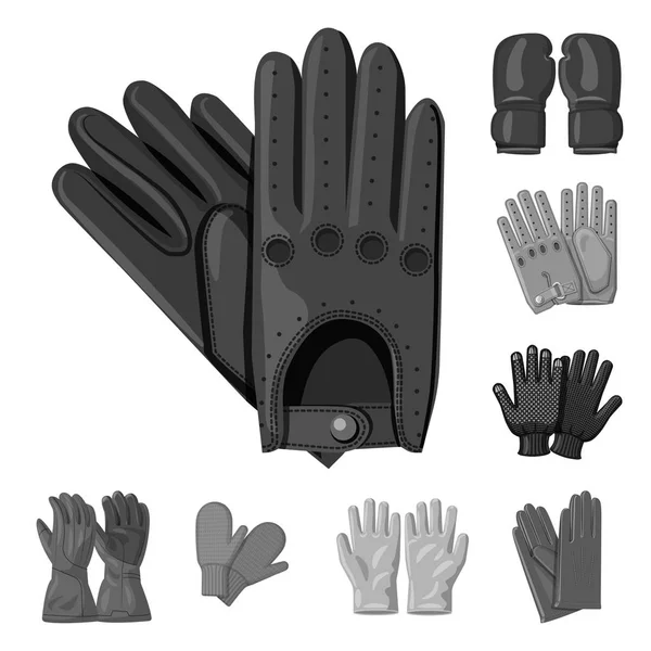 Isoliertes Objekt von Handschuh und Winterzeichen. Sammlung von Handschuhen und Ausrüstung Vektor-Symbol für Lager. — Stockvektor