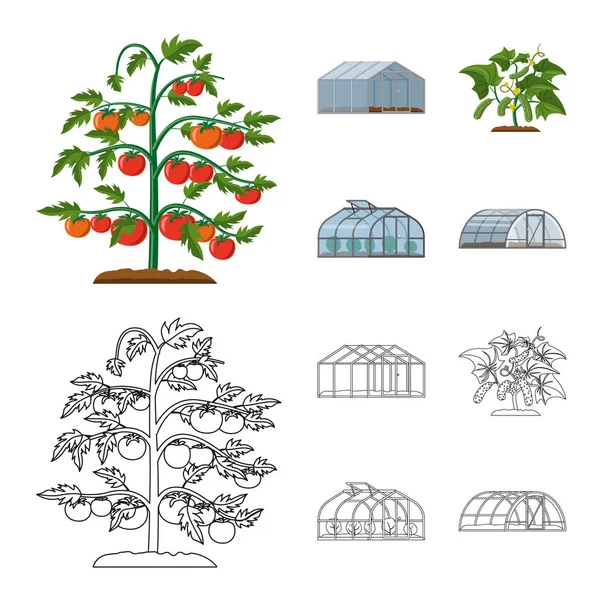 温室和植物图标的向量例证。一套温室和花园股票符号的网站. — 图库矢量图片