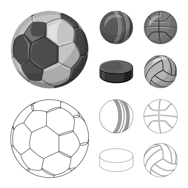 Illustration vectorielle du sport et symbole de balle. Jeu d'illustration vectorielle de stock sportif et sportif . — Image vectorielle