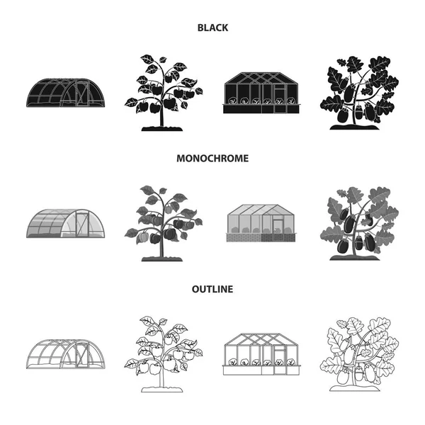 Vektorové ilustrace skleník a rostlin znamení. Sada skleník a zahradní burzovní symbol pro web. — Stockový vektor