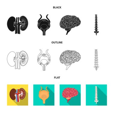 Vücut ve insan simge vektör tasarımı. Vücut ve tıbbi hisse senedi vektör çizim.