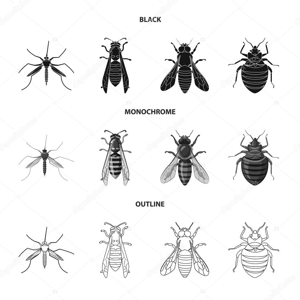 Isolated object of insect and fly logo. Set of insect and element stock symbol for web.