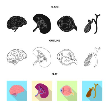 Vücut ve insan simge vektör tasarımı. Vücut ve hisse senedi için tıbbi vektör ikon koleksiyonu.
