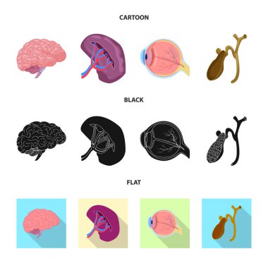 Vücut ve insan logo vektör çizimi. Vücut ve web için tıbbi hisse senedi simgesi.