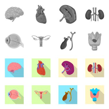 Vücut ve insan logo yalıtılmış nesne. Vücut ve hisse senedi için tıbbi vektör ikon koleksiyonu.