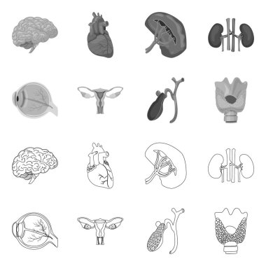 Vücut ve insan simge vektör tasarımı. Vücut ve hisse senedi için tıbbi vektör ikon koleksiyonu.