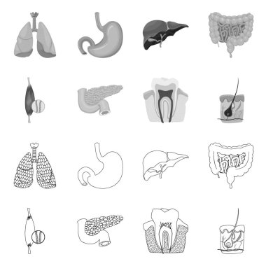 Vücut ve insan simge vektör tasarımı. Vücut ve tıbbi hisse senedi vektör çizim koleksiyonu.