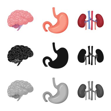 Vücut ve insan sembolü yalıtılmış nesne. Vücut ve hisse senedi için tıbbi vektör simge kümesi.