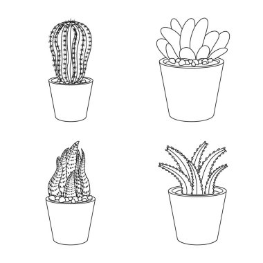 Kaktüs ve pot logo vektör Illustration. Kaktüs ve kaktüsler koleksiyonu stok web simgesi.