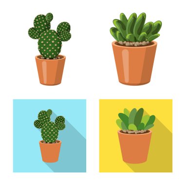 Kaktüs ve pot logo yalıtılmış nesne. Kaktüs ve kaktüsler koleksiyonu stok web simgesi.