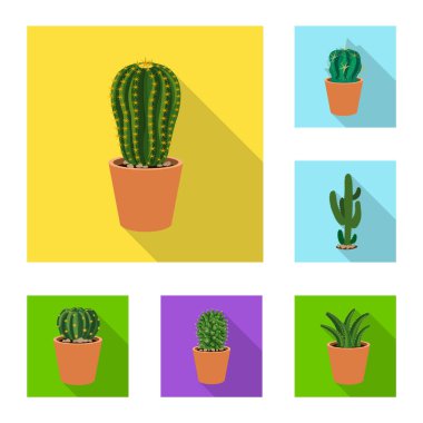Kaktüs ve pot işareti yalıtılmış nesne. Kaktüs ve hisse senedi için kaktüsler vektör simge kümesi.