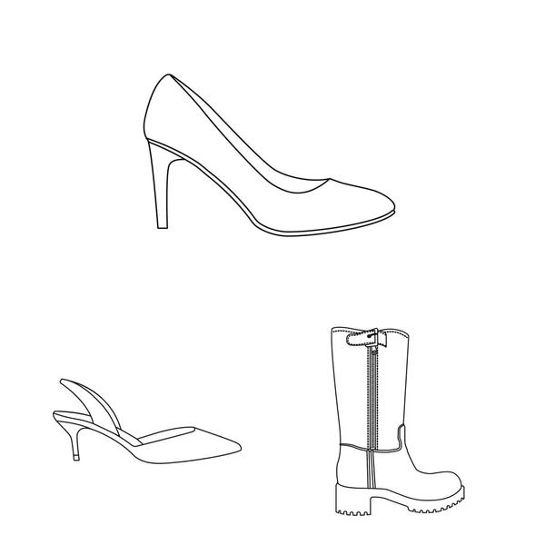 Objeto aislado de calzado y signo de mujer. Set de calzado y pie vector icono para stock . — Vector de stock