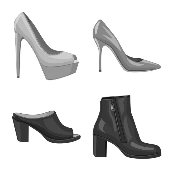 Objeto aislado de calzado y mujer icono. Set de calzado y pie vector icono para stock . — Vector de stock