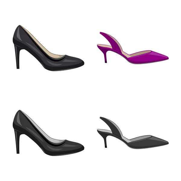 Векторный дизайн обуви и женского логотипа. Набор символов обуви и стопы для паутины . — стоковый вектор