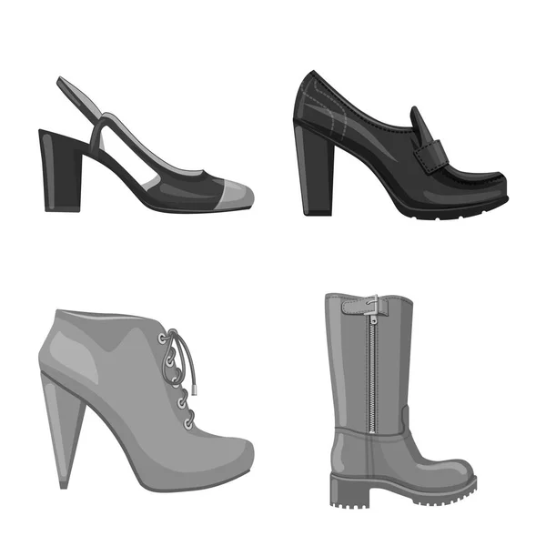 Diseño vectorial de calzado y mujer icono. Colección de calzado y pie vector icono para stock . — Vector de stock