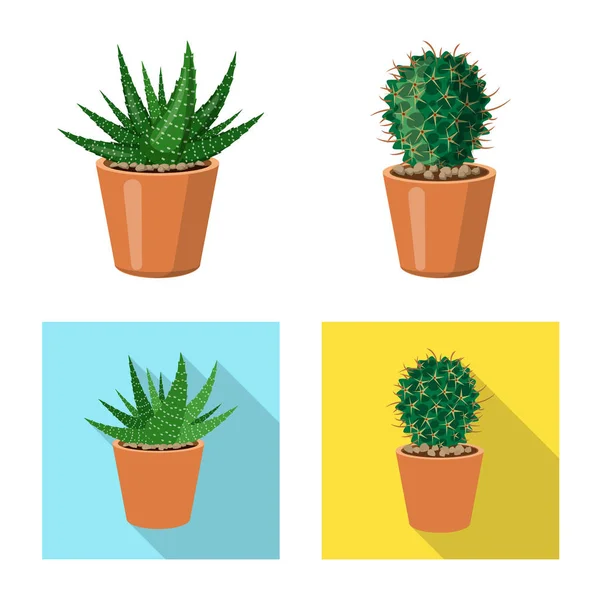 Isolated object of cactus and pot icon. Set of cactus and cacti vector icon for stock. — Stock Vector