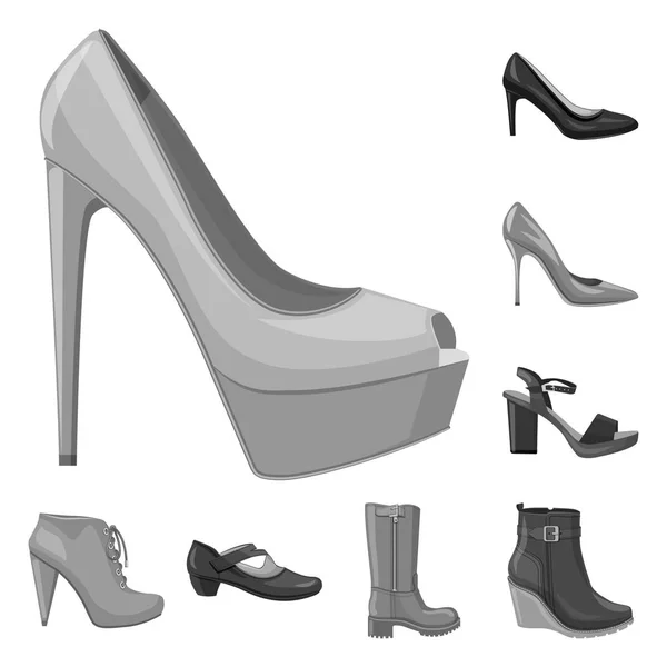 Lábbeli és nő szimbólum izolált tárgya. Gyűjteménye cipő és láb vektor ikon készlet. — Stock Vector