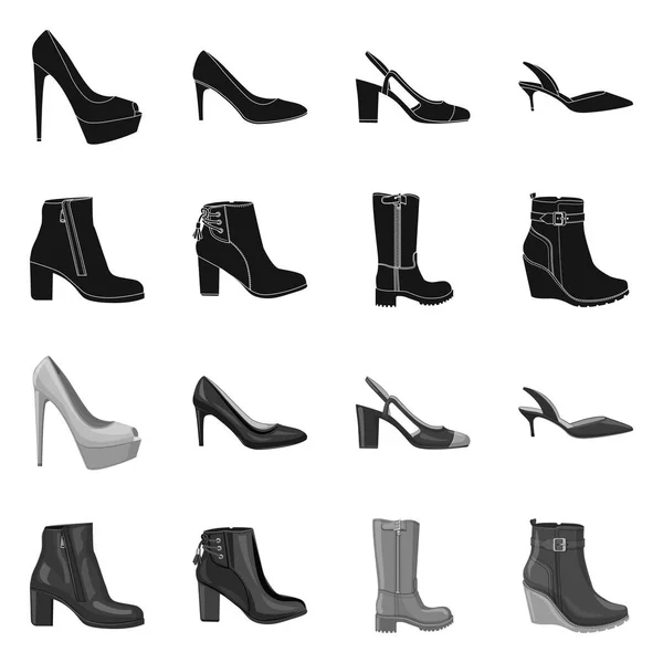 신발 및 여자 상징의 벡터 그림입니다. 웹에 대 한 신발과 발 주식 기호 모음. — 스톡 벡터