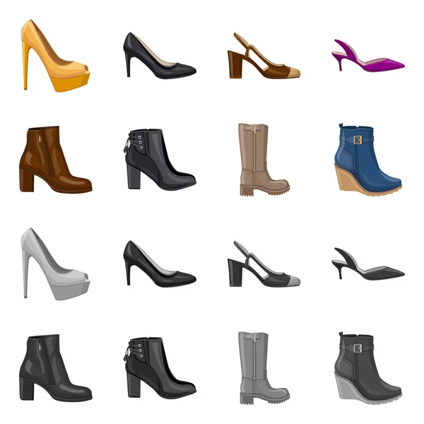 Illustration vectorielle de chaussures et icône femme. Ensemble de chaussures et illustration vectorielle de stock de pied . — Image vectorielle