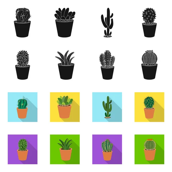 Oggetto isolato di cactus e segno di pentola. Serie di cactus e cactus stock illustrazione vettoriale . — Vettoriale Stock