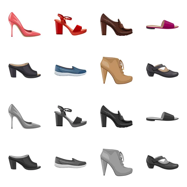 Geïsoleerde object van schoeisel en vrouw symbool. Set van schoeisel en voet aandelensymbool voor web. — Stockvector