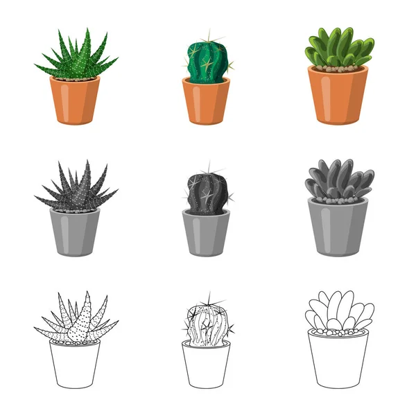 Vektorová design loga kaktus a květináč. Sada kaktus a kaktusy burzovní symbol pro web. — Stockový vektor