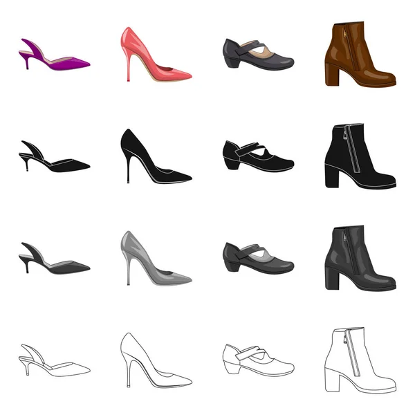 Design vettoriale delle calzature e logo donna. Serie di calzature e piedi stock illustrazione vettoriale . — Vettoriale Stock
