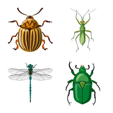 Vector design of insect and fly icon. Collection of insect and element stock symbol for web. clipart