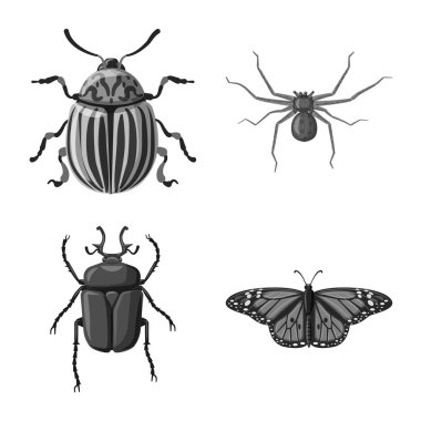 Böcek ve sinek işareti vektör tasarımı. Böcek ve öğe hisse senedi vektör çizim topluluğu.