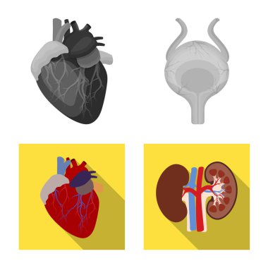 Vücut ve insan logo yalıtılmış nesne. Vücut ve hisse senedi için tıbbi vektör simge kümesi.