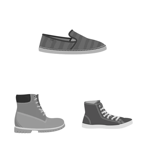 Isoliertes Objekt des Schuh- und Schuh-Symbols. Set von Schuh-und Fußstock-Symbol für Web. — Stockvektor