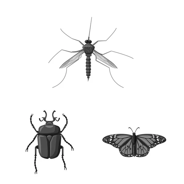 Objeto isolado de ícone de inseto e mosca. Conjunto de símbolo de estoque de insetos e elementos para web . — Vetor de Stock